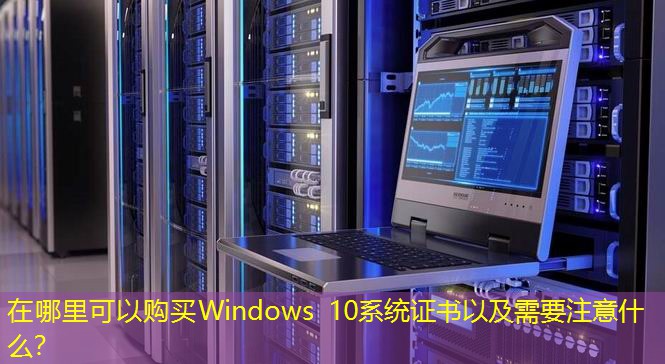 在哪里可以購買Windows 10系統(tǒng)證書以及需要注意什么？