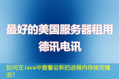 如何在Java中查看最新的進程內存使用情況？