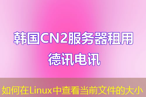 如何在Linux中查看當(dāng)前文件的大小