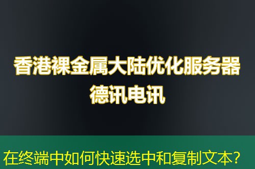 在終端中如何快速選中和復(fù)制文本？