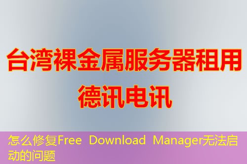 怎么修復(fù)Free Download Manager無法啟動的問題