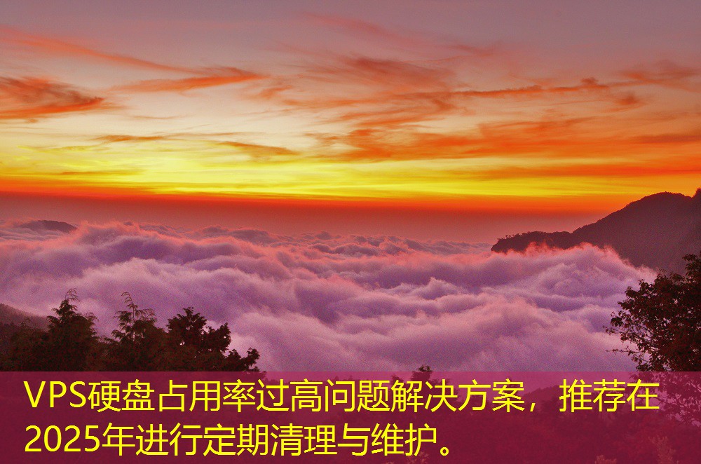 VPS硬盤占用率過高問題解決方案，推薦在2025年進行定期清理與維護。