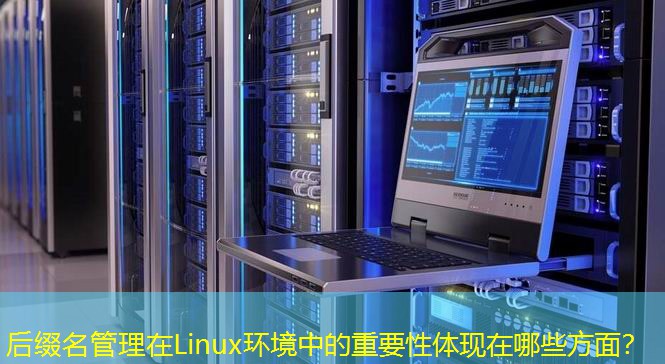 后綴名管理在Linux環(huán)境中的重要性體現(xiàn)在哪些方面？