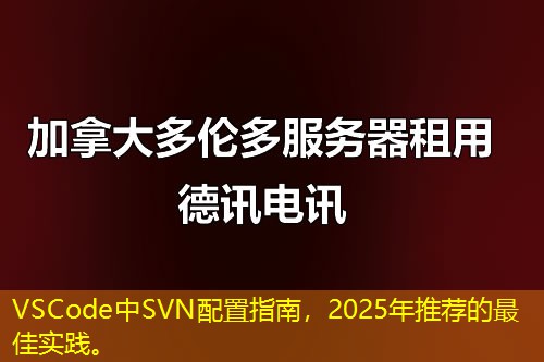 VSCode中SVN配置指南，2025年推薦的最佳實踐。