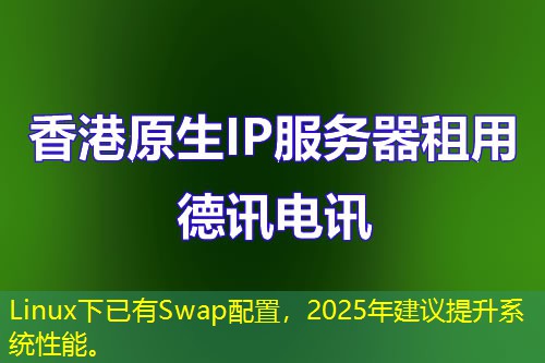Linux下已有Swap配置，2025年建議提升系統(tǒng)性能。