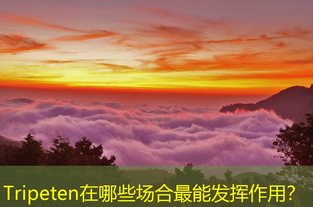 Tripeten在哪些場(chǎng)合最能發(fā)揮作用？