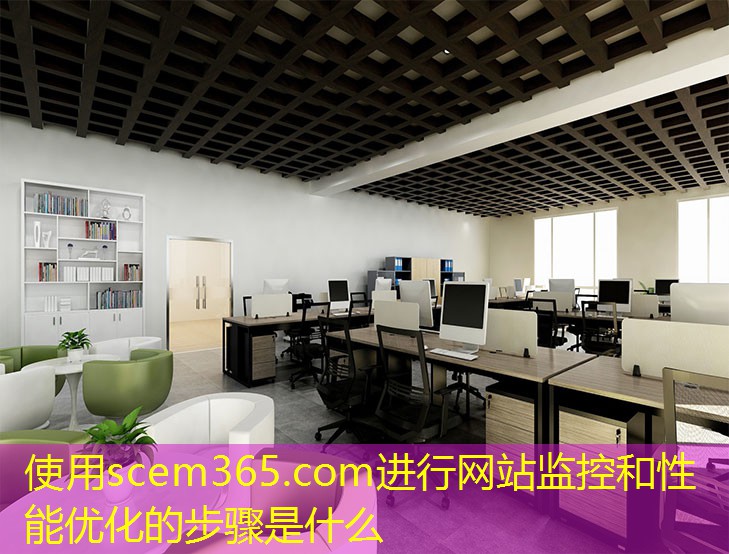 使用scem365.com進(jìn)行網(wǎng)站監(jiān)控和性能優(yōu)化的步驟是什么